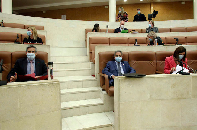 Los representantes públicos durante una sesión parlamentaria. / ALERTA
