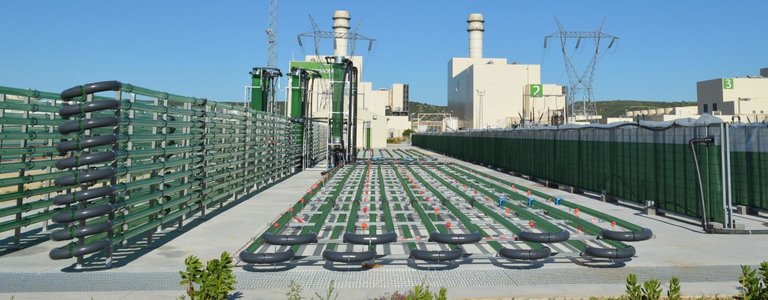 Vista de la planta de producción de microalgas en arcos de la frontera. EFE