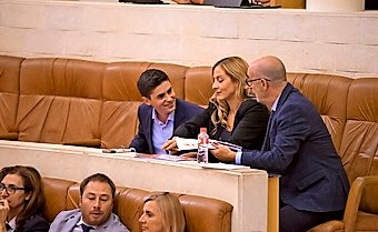 Los tres diputados de Ciudadanos en el Parlamento regional. / ALERTA