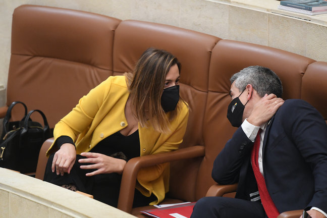 La consejera de Economía, María Sánchez y el vicepresidente de Cantabria, Pablo Zuloaga, durante una sesión plenaria la pasada semana. / HARDY