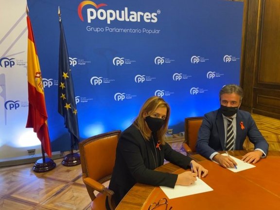 Los diputados por Cantabria del Partido Popular, Elena Castillo y Diego Movellán. / ALERTA
