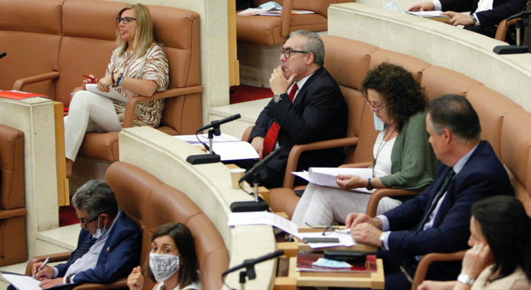 Vista de una sesión plenaria en el Parlamento de Cantabria. / ALERTA