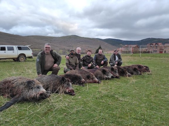 Grupo de cazadores con los jabalies matados en un coto.