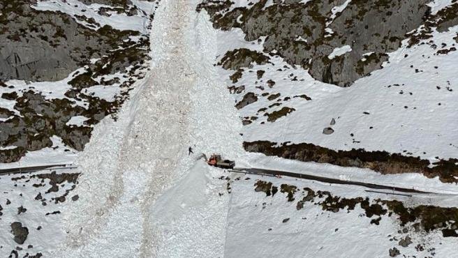 Alud de nieve que ha enterrado la carretera de acceso a Tresviso. / ALERTA