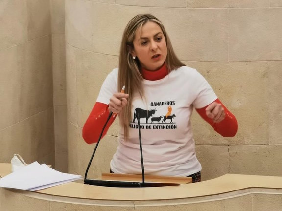 La diputada de Cs en el Parlamento de Cantabria Marta García. / E. PRESS
