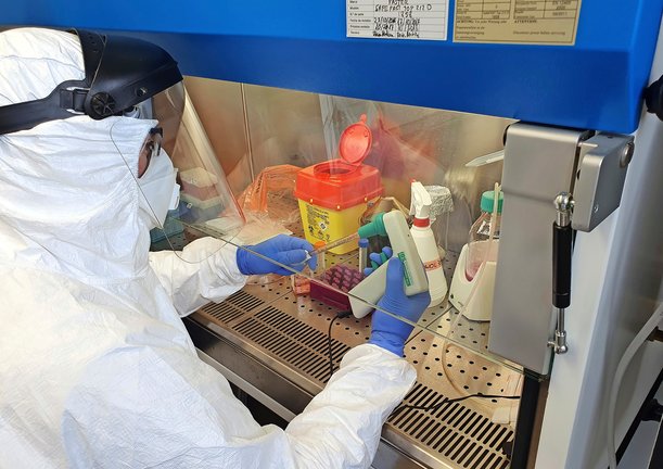 Félix J. Sangari trabajando en la cabina de seguridad biológica del laboratorio. / ALERTA