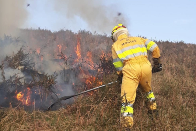 Un operario de Servicios de Montes del Gobierno de Cantabria realiza las labores de sofoco del incendio. / ALERTA