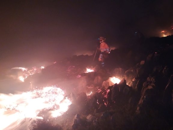 Un operario intenta sofocar el incendio provocado en la comarca de Trasmiera. / ALERTA