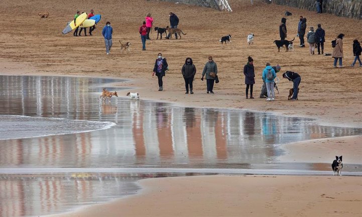 Asturias registró ayer, seis muertes por coronavirus, el doble que el dia anterior y 138 nuevos contagios, 21 menos, en una jornada en la que la positividad se ha situado ligeramente por debajo del 5 por ciento. En la imagen un grupo de personas pasean con sus perros por el arenal de la playa de San Lorenzo en Gijón. EFE/ Alberto Morante