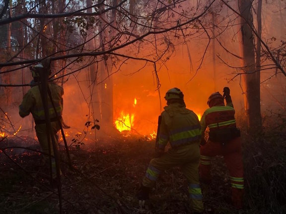 Incendio forestal en Cantabria. / E. PRESS
