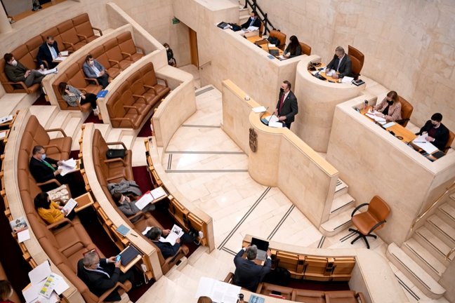 Imagen de un pleno en el Parlamento cántabro. / GONZALO ROGINA