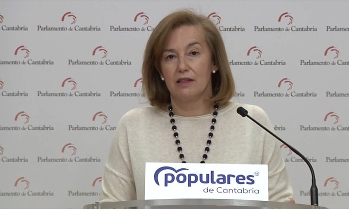 La secretaria autonómica del PP y diputada regional, María José González Revuelta, en rueda de prensa. / ALERTA