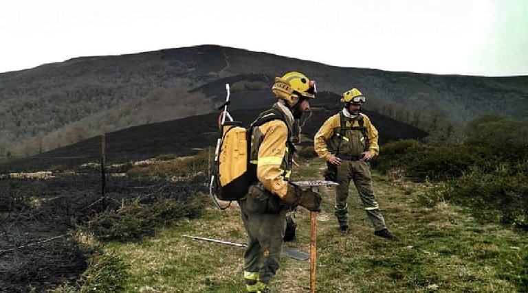 El equipo contra incendios del BRIFF de Ruente durante la extinción de los incendios en el día de hoy. / BRIFF