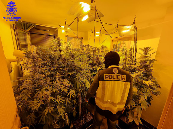 Un agente delante del alijo incautado de marihuana. / CNP