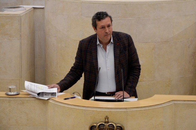 El portavoz del PP en el Parlamento, Íñigo Fernández. / ALERTA