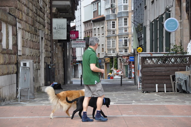 Un torrelaveguense paseando al perro por la plaza roja. / S. Díaz