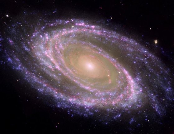 Ejemplo de galaxia espiral cercana, M81, donde se identifica fácilmente el bulbo y el disco.