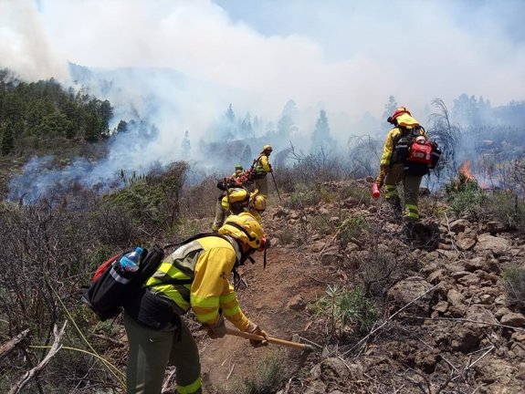 Agentes forestales trabajan en el incendio de Arico