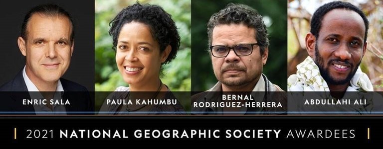 Archivo - Enric Sala, Paula Kahumbu, Bernal Rodríguez-Herrera y Abdullahi Ali, los premmiados por la National Geographic Society este 2021