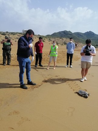 Liberan a una tortuga en Calblanque tras ser tratada en el centro de recuperación
