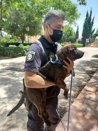La Unidad Canina de la Policía Local rescata a un perro encerrado en un garaje sin agua y a pleno sol