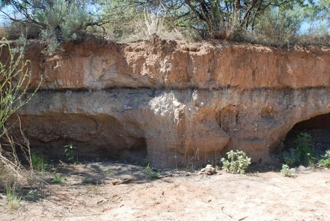 Sitio arqueológico en Arizona, EE. UU., Con una capa negra distintiva, que indica cambios ambientales sustanciales que comienzan alrededor del 10,800 a. C., con escombros de impacto en su base