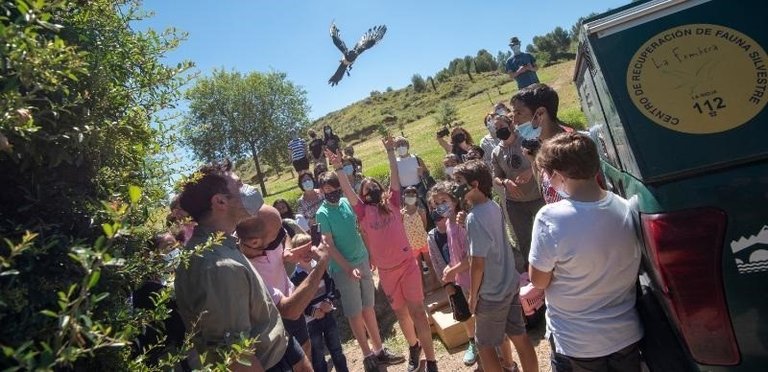 Suelta de aves en el marco del programa de voluntariado 'Ayúdale a volar' y de ejemplares atendidos en el Centro de Recuperación de Fauna Silvestre de La Fombera.