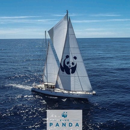 Blue Panda de WWF