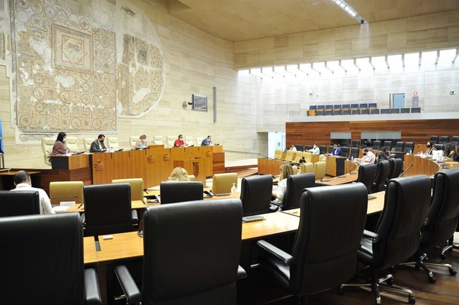 Imagen de archivo de actividad en la Asamblea de Extremadura