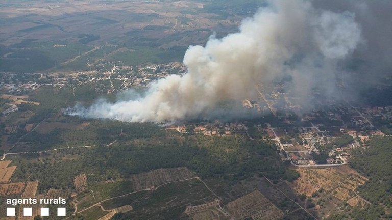 Archivo - Los Mossos d'Esquadra han desalojado este martes a 15 persones y a 3 animales de la urbanitzación Mas del Plata de Cabra del Camp (Tarragona) por un incendio forestal cercano que ha sido estabilizado a las 15.17 horas