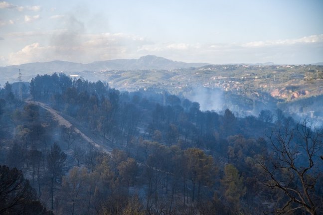 Zona afectada por el incendio en los municipios de Castellví de Rosanes y Martorell (Barcelona).