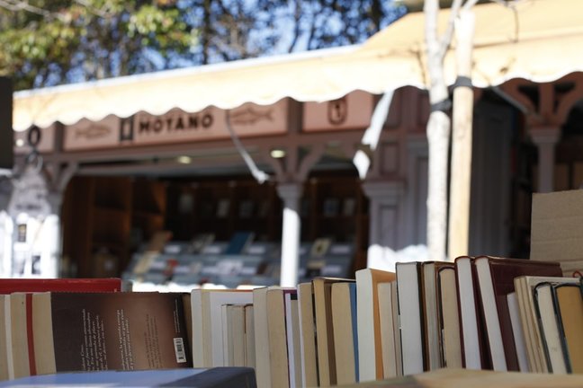 Libros en la calle Madrid