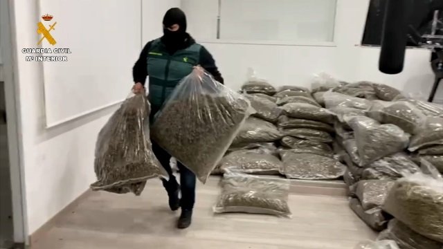 La Guardia Civil halla en una nave de La Mojonera (Almería) 5.674 kilos de cogollos de marihuana envasada en el marco de la 'operación Imprevisto'.