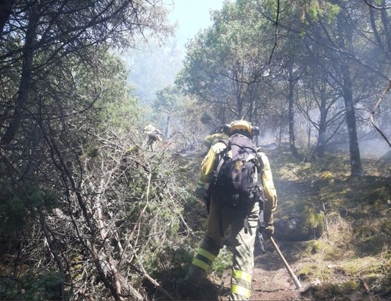 Bomberos forestales, en el incendio de Candeleda.