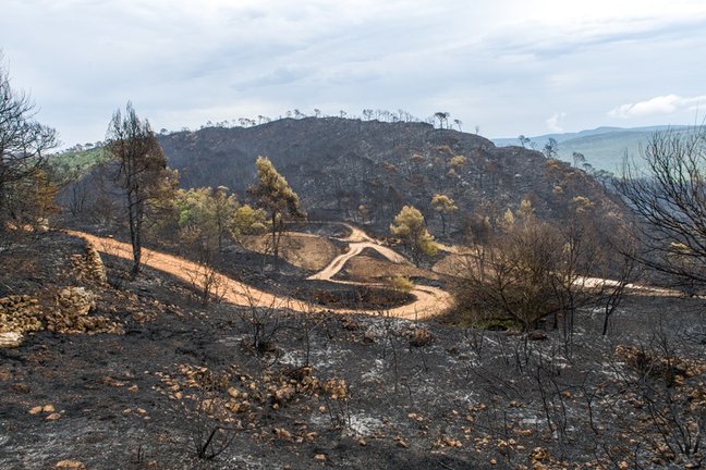 Inmediaciones de Santa Coloma de Queralt (Tarragona) tras el incendio iniciado el pasado sábado, que ha quemado ya más de 1.600 hectáreas