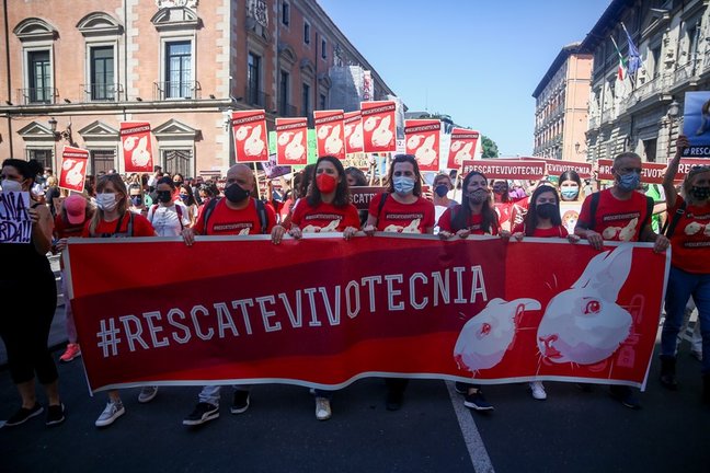 Archivo - Varias personas participan en una manifestación para exigir el rescate de los animales de Laboratorios Vivotecnia, a 29 de mayo de mayo de 2021, en Madrid (España). Activistas y decenas de organizaciones animalistas se han unido este sábado para