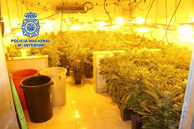 Cultivo de marihuana 'indoor' desmantelado en Almería
