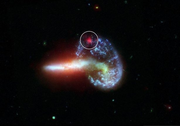 La imagen muestra la galaxia Arp 148, capturada por los telescopios Spitzer y Hubble de la NASA. Los datos de Spitzer especialmente procesados se muestran dentro del círculo blanco, revelando la luz infrarroja de una supernova oculta por el polvo.