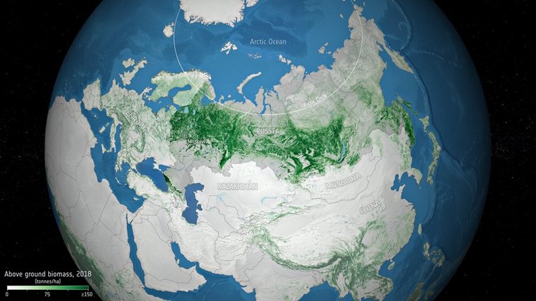 Biomasa superficial en Rusia