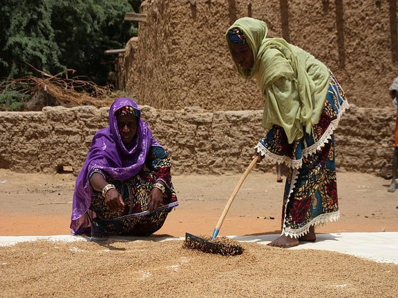 Níger. Apoyo pequeños productores arroz reducida