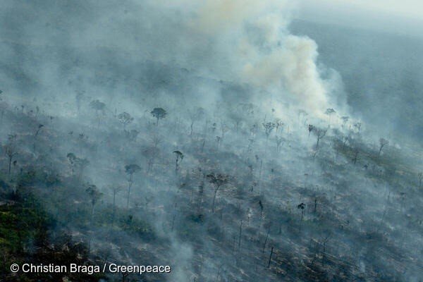 Burnt spots in a recently deforested area, registered by Deter 2021 and Prodes 2019, in Apuí, Amazonas state.Every year, Greenpeace Brazil
