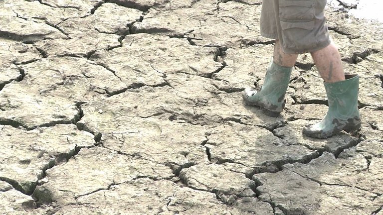 Archivo - Sequía en Valencia del Ventoso (Badajoz)