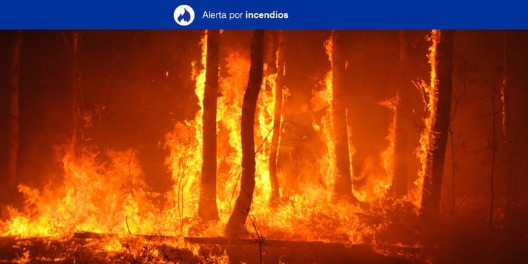 Archivo - Alerta por incendios en Canarias