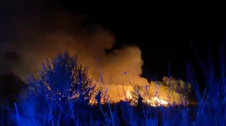 Bomberos de Marbella participan en la extinción de un incendio