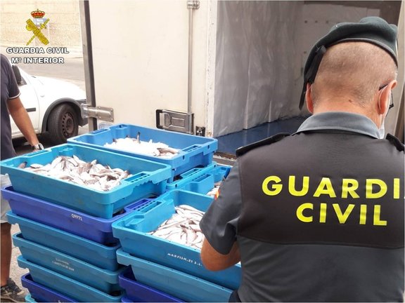 La Guardia Civil interviene media tonelada de pescado ilegal en puertos pesqueros de Alicante