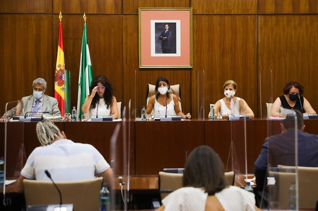 Imagen de este martes de la reunión de la Diputación Permanente del Parlamento de Andalucía, en el momento de la comparecencia de la consejera de Igualdad, Rocío Ruiz.