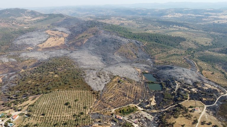 Incendio forestal en el término de Alcaracejos.