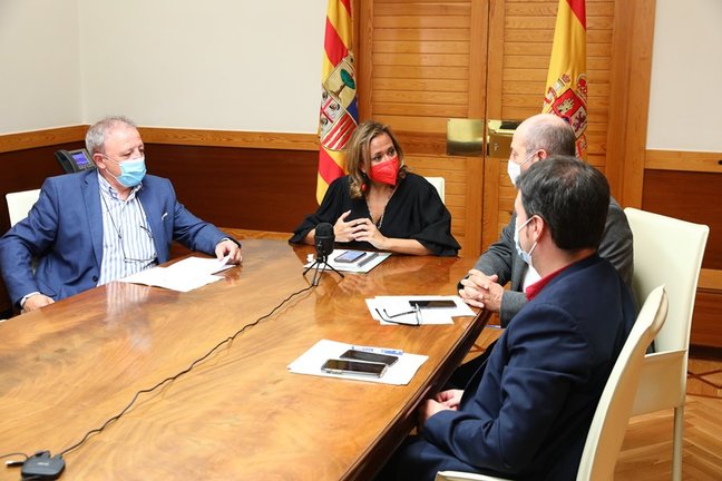 Reunión telemática del Consejo Local de Aragón ampliado.