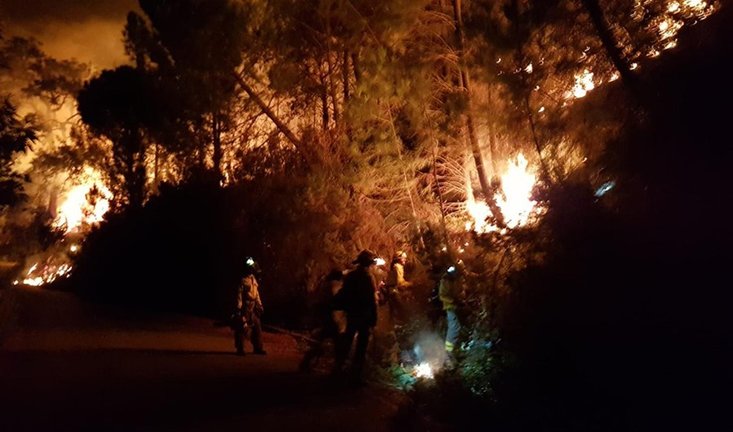 El incendio forestal declarado en Sierra Bermeja, en Málaga