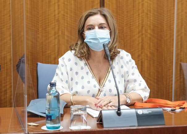 Carmen Ibanco, este viernes en la comisión de investigación de la Faffe del Parlamento andaluz